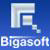 Bigasoft.com logo