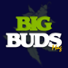 Bigbudsmag.com logo