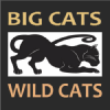 Bigcatswildcats.com logo