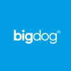 Bigdogagency.com logo