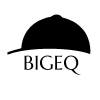 Bigeq.com logo