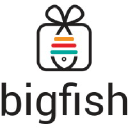 Bigfish Benefits