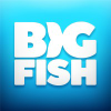 Bigfishgames.nl logo