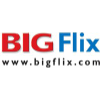 Bigflix.com logo