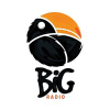 Bigportal.ba logo