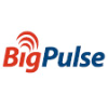 Bigpulse.com logo