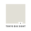 Bigsight.jp logo