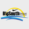 Bigsouth.us logo