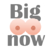 Bigtitsnow.com logo