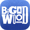 Bigwood.ru logo