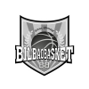 Bilbaobasket.biz logo