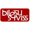 Bilesuserviss.lv logo