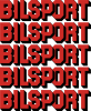 Bilsport.se logo