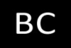Binarycore.org logo