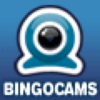 Bingocams.com logo