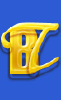 Bintrader.com logo