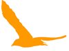 Birdforum.net logo