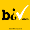Bisorubicevap.com logo