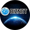 Biznet.pw logo