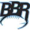 Blackandbluereview.com logo
