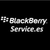 Blackberryservice.es logo