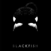 Blackfishmovie.com logo
