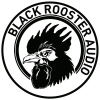 Blackroosteraudio.com logo