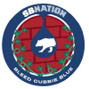 Bleedcubbieblue.com logo