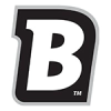 Blichmannengineering.com logo