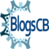 Blogscapitalbolsa.com logo