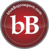 Blokbojonegoro.com logo