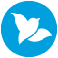 Bluebird.com logo