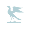 Bluebirdnews.co.uk logo