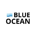 Blueoceanstrategy.com logo