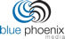 Bluephoenixnetwork.com logo