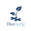 Bluesprig.com logo