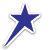 Bluestar Loyalty logo