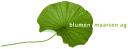 Blumenmaarsen.ch logo