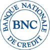 Bnconline.com logo