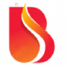 Bogordaily.net logo