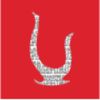 Bohindra.com logo