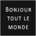 Bonjourtoutlemonde.com logo