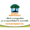 Borhykert.hu logo