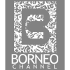 Borneochannel.com logo