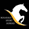 Bosankosportshorses.com logo