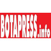 Botapress.info logo
