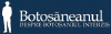 Botosaneanul.ro logo