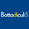 Bottadiculo.it logo