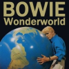 Bowiewonderworld.com logo