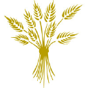 Wellframe